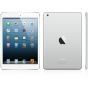 iPad Mini 1 16GB