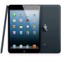 iPad Mini 1 Space grey 16GB