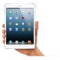 iPad Mini 1 16GB