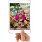 iPad Mini 1 16GB