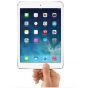 iPad Mini 2 Wi-Fi 16GB Zilver