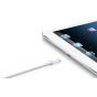 iPad Mini 1 16GB