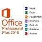 Microsoft Office Pro Plus 2019 - 1 user PC