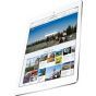 Apple iPad Air WiFi + Cellular 16GB Zilver