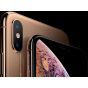 iPhone XS Max 256GB Goud